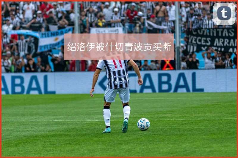 绍洛伊被什切青波贡买断